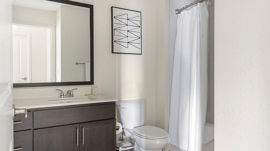 Furnished Finder property 816602_14 photo 14