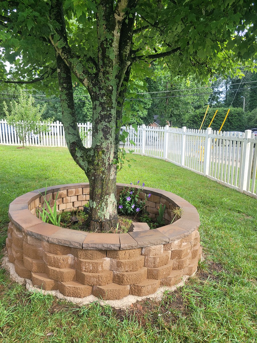 Furnished Finder property 816707_1 photo 15