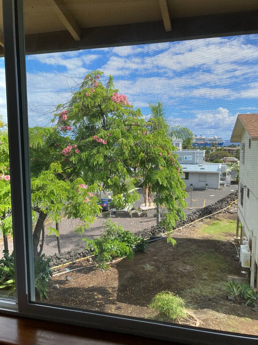 Furnished Finder property 816723_1 photo 35