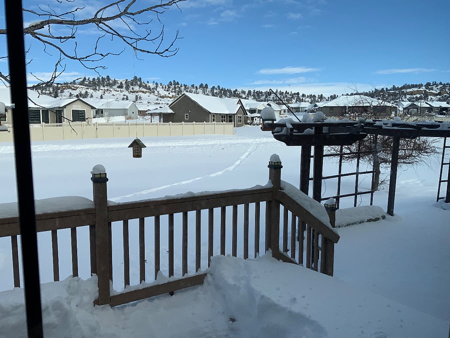 Furnished Finder property 816918_1 photo 9
