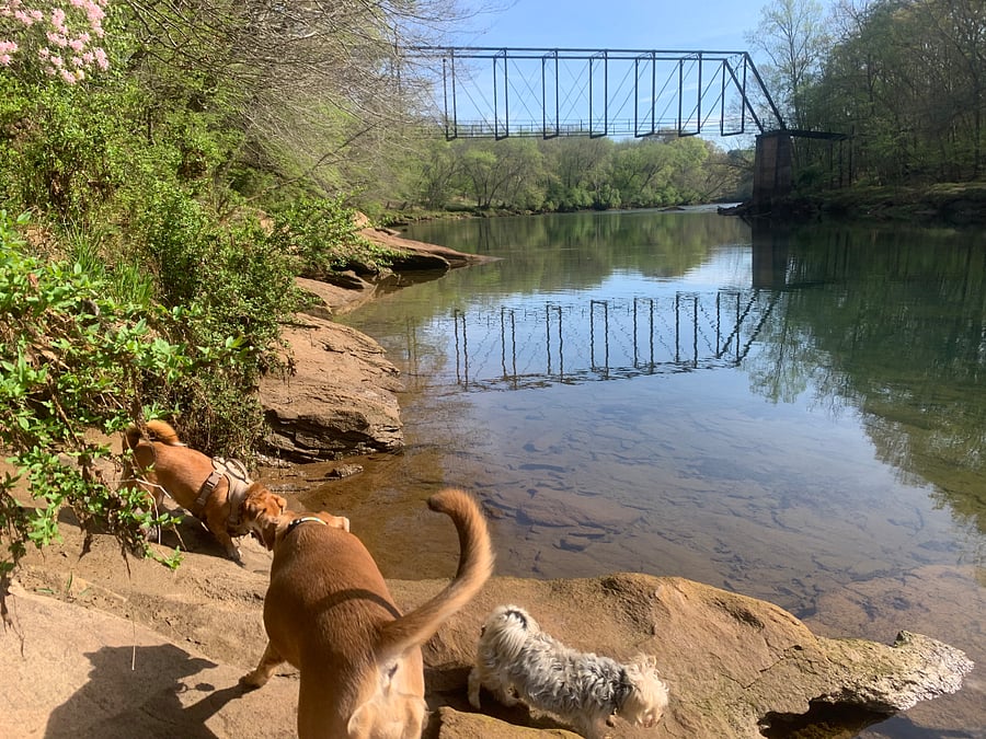Near hiking trails along Chattahoochee River