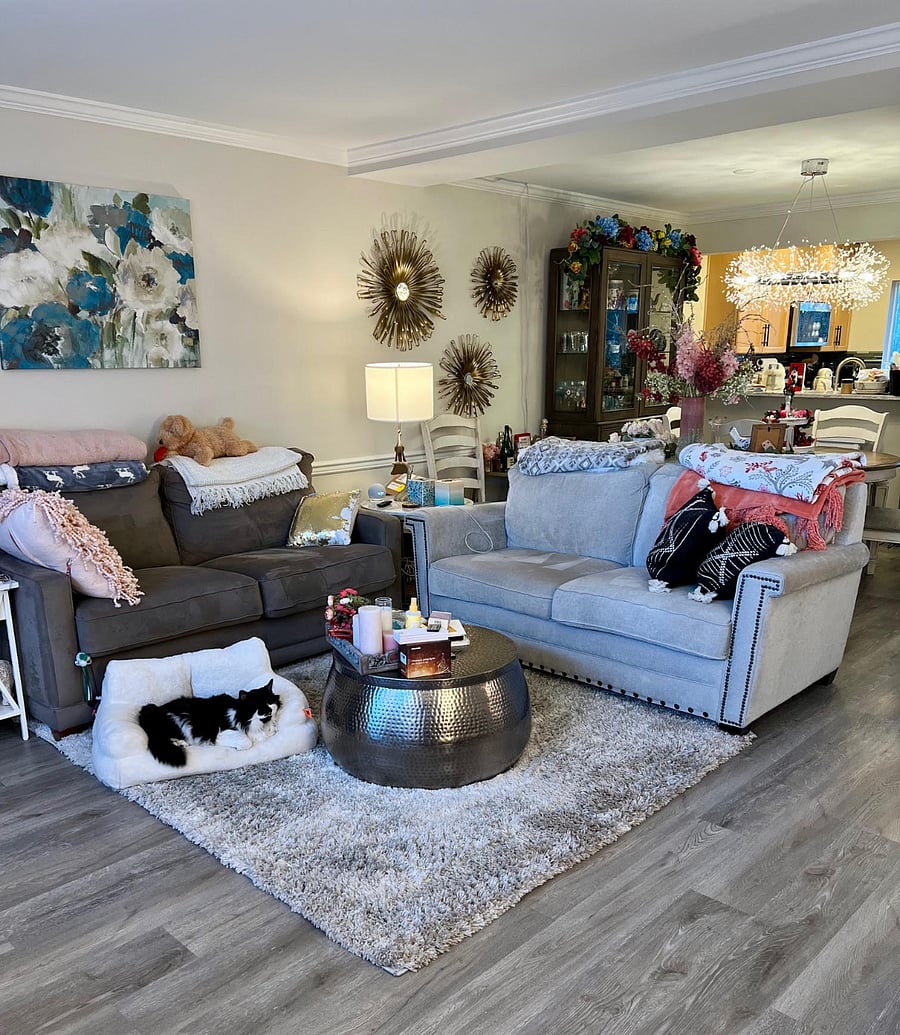 Shared living room on main floor (featuring my cat, Cappie)