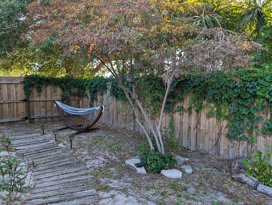 hammock