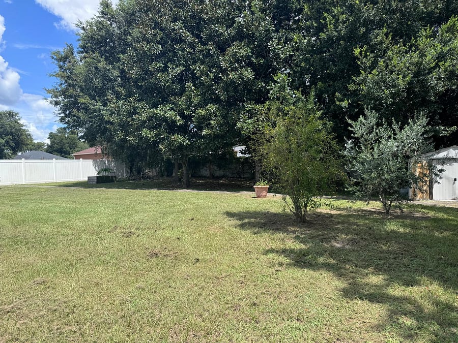 Furnished Finder property 817126_1 photo 23