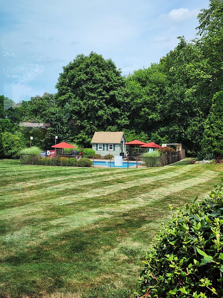 Pool Area In Summer