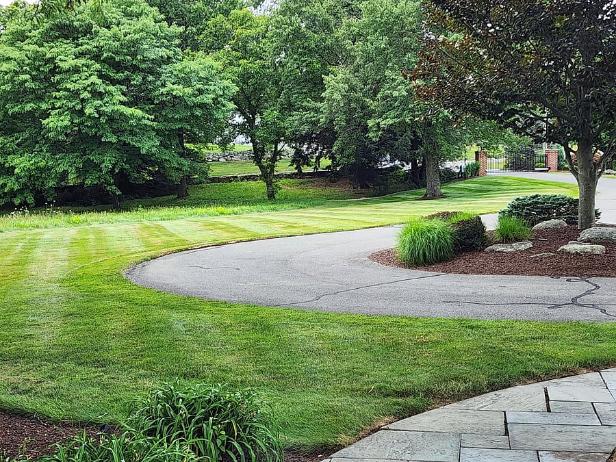 Driveway Area - Circle
