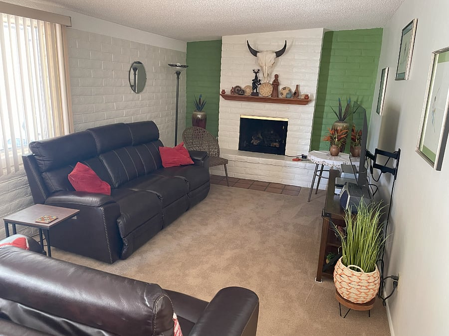 Den TV room with remote controlled fire place in winter.