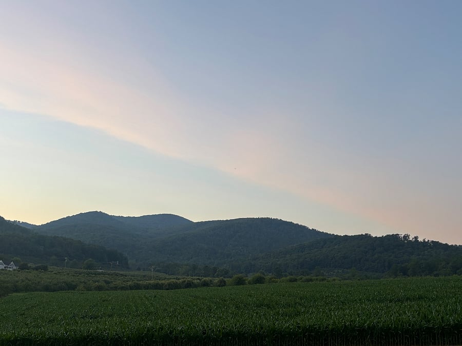Summer evening view