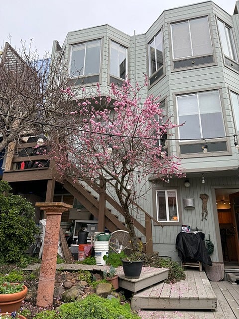 Furnished Finder property 817276_1 photo 15