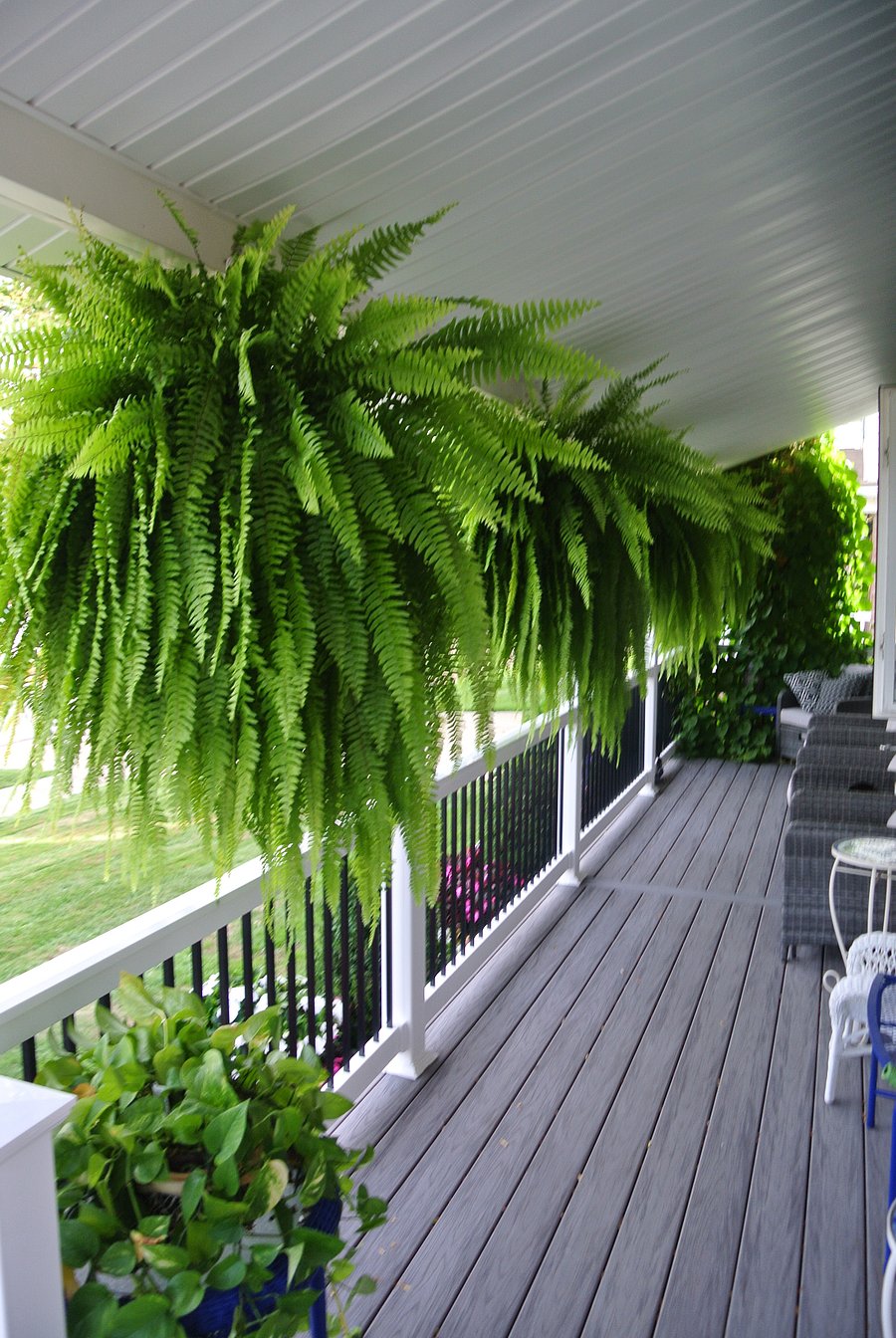 Furnished Finder property 817299_1 photo 23