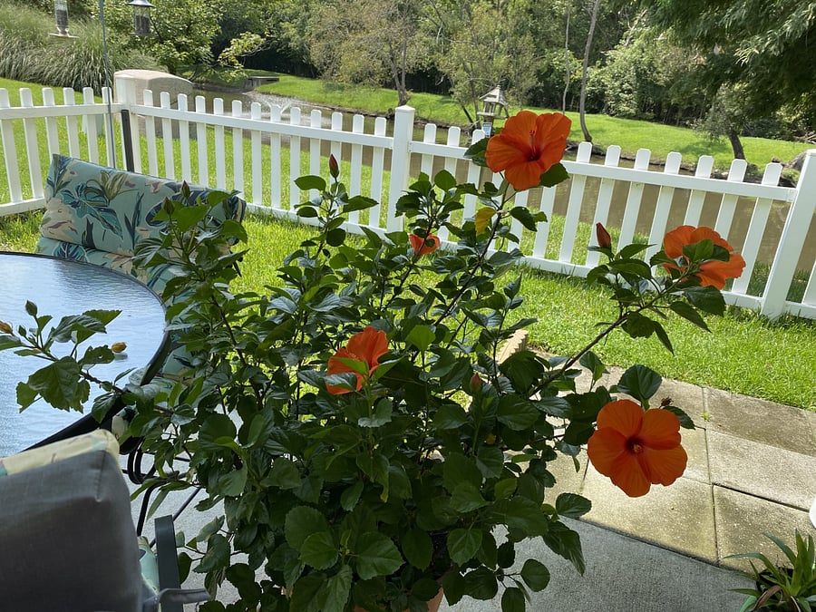 Furnished Finder property 817638_1 photo 13