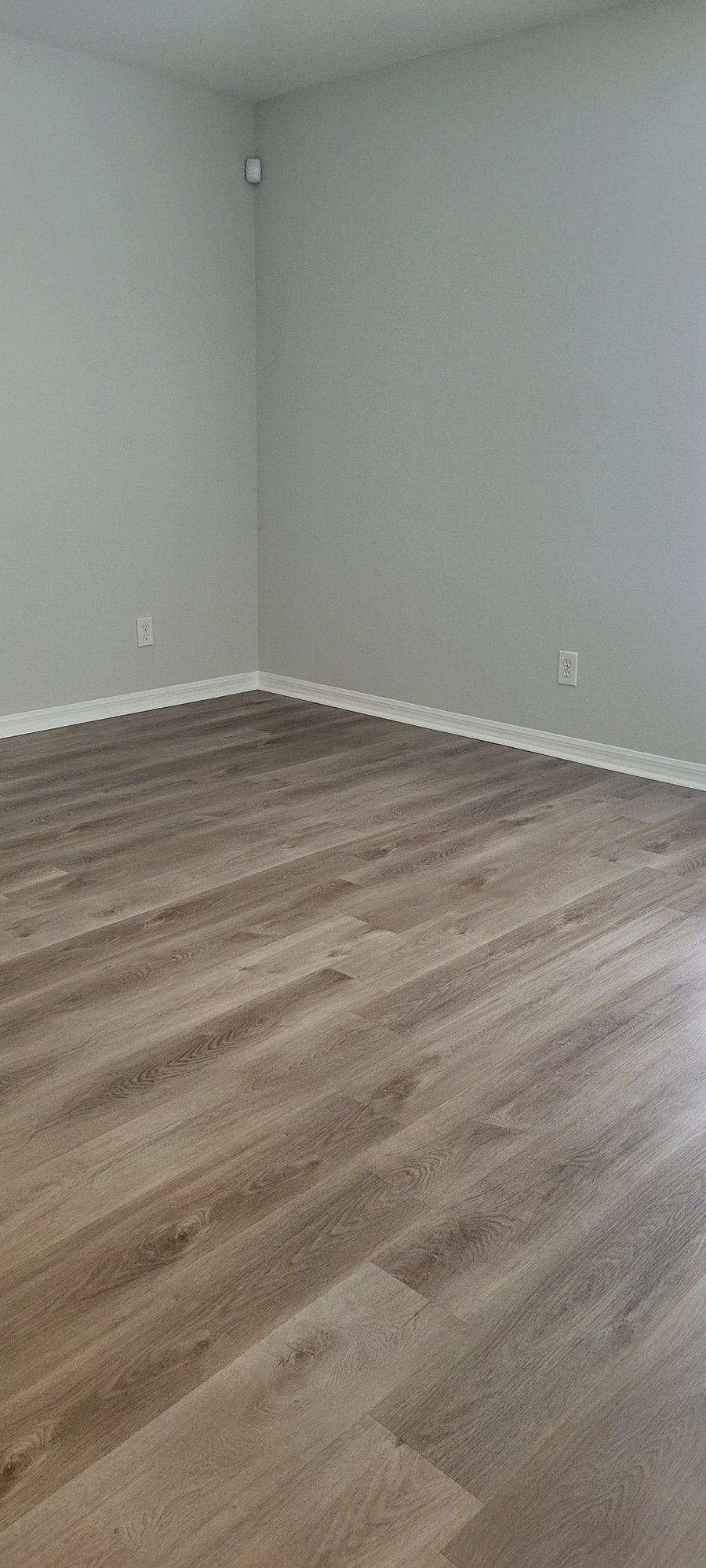 Living room area