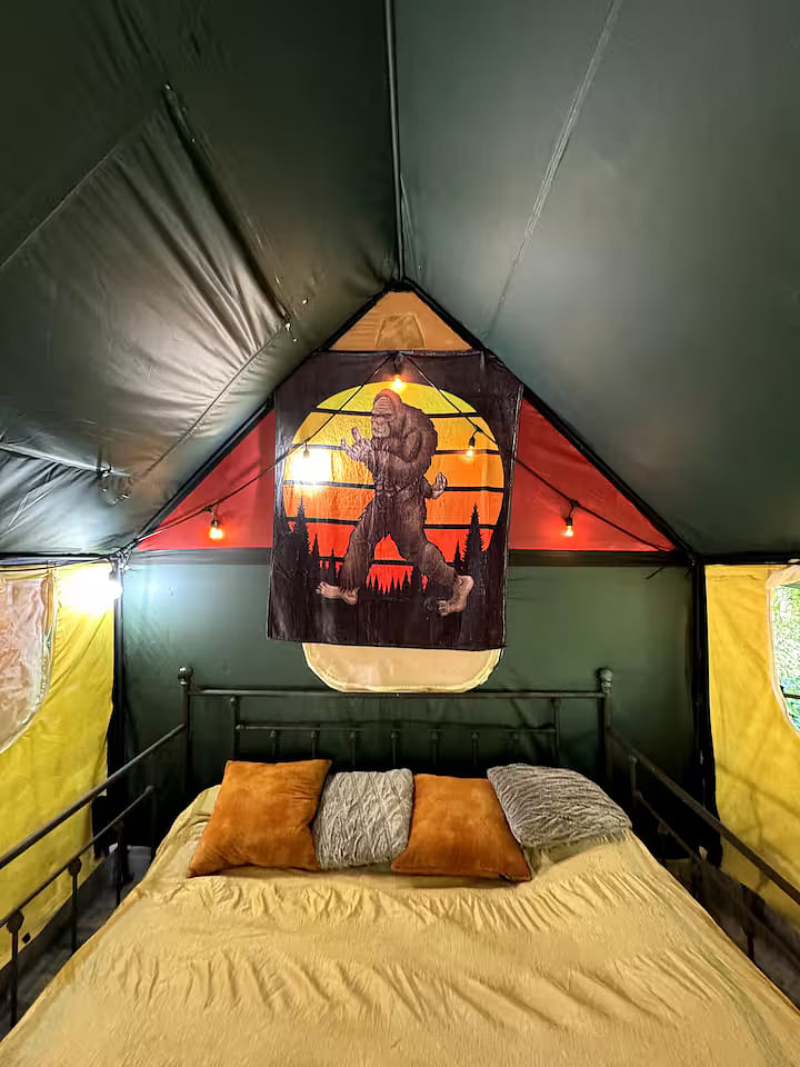 BONUS! Glamping Tree House(with 1 to 2 day notice, no charge to hang out on amazing deck: only small cleaning fee if you spend the night)