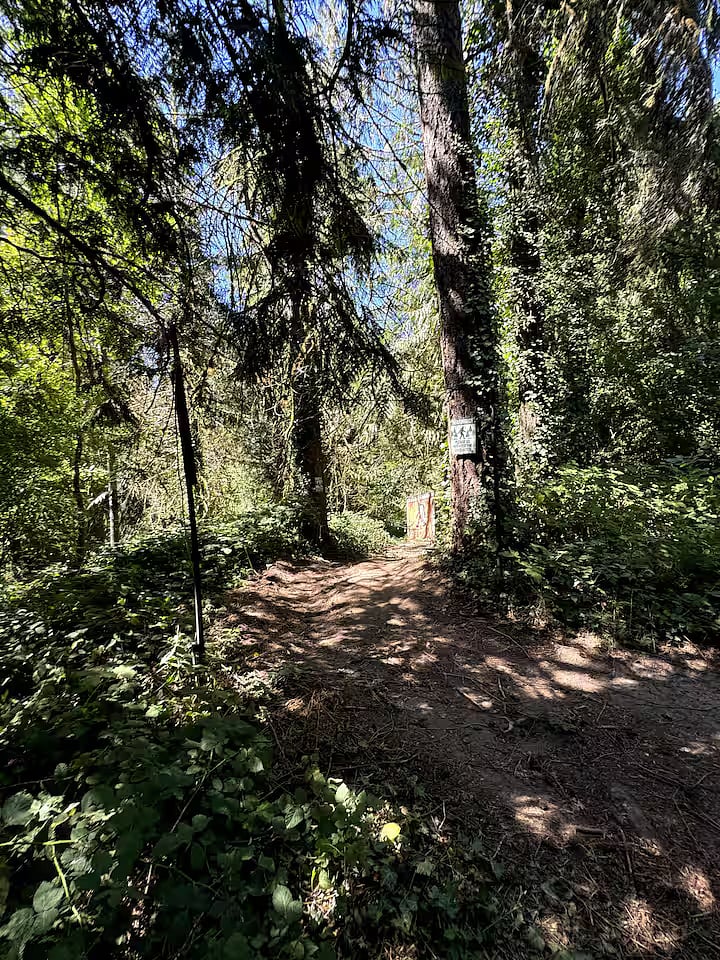 Trail to 100-foot-long suspension bridge