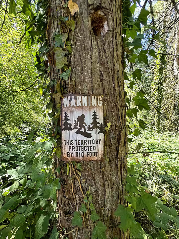 Big Foot has been spotted.=)
