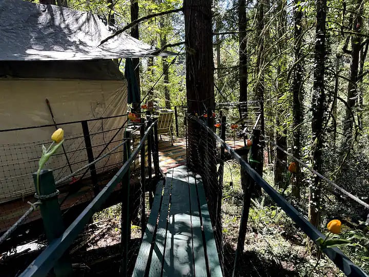 Bridge to - BONUS! Glamping Tree House(with 1 to 2 day notice, no charge to hang out, only small cleaning fee if you spend the night)