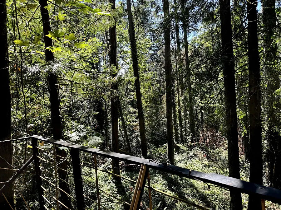 BONUS! Glamping Tree House(with 1 to 2 day notice, no charge to hang out, only cleaning fee if you spend the night)