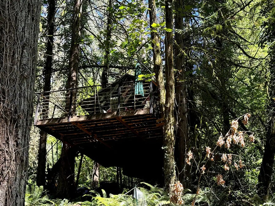 BONUS! Glamping Tree House(with 1 to 2 day notice, no charge to hang out, only cleaning fee if you spend the night)