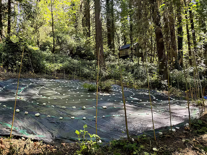 Labyrinth! Come walk the amazing maze. You won't believe you find the center, but you will as your cares melt away. 