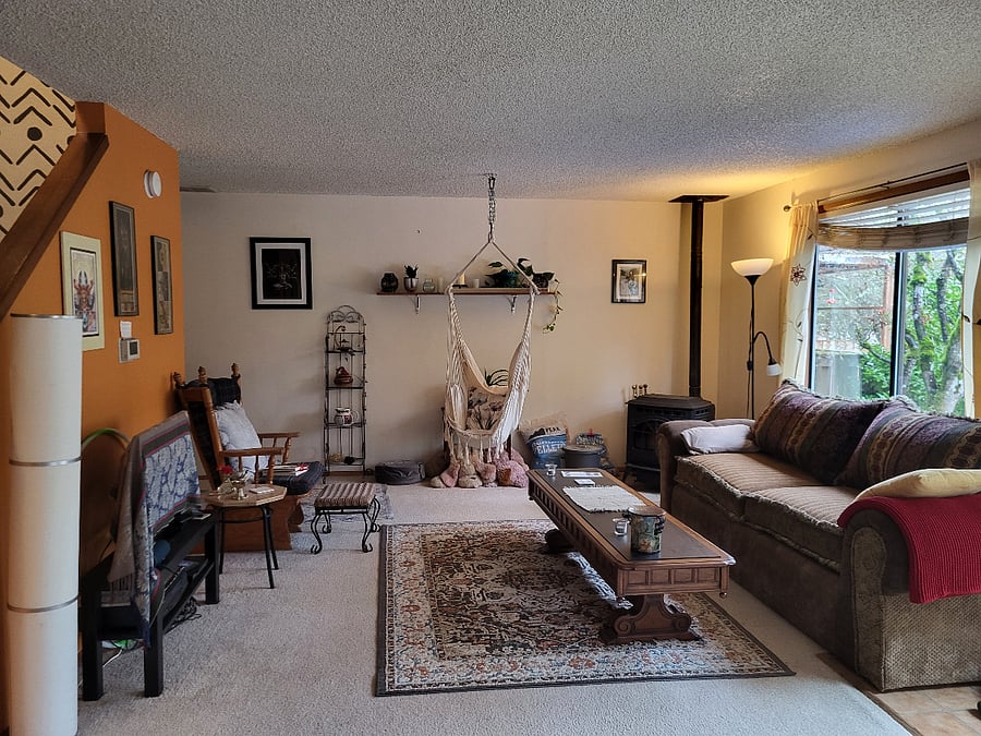 Downstairs living room