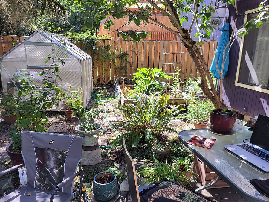 Greenhouse and garden beds.