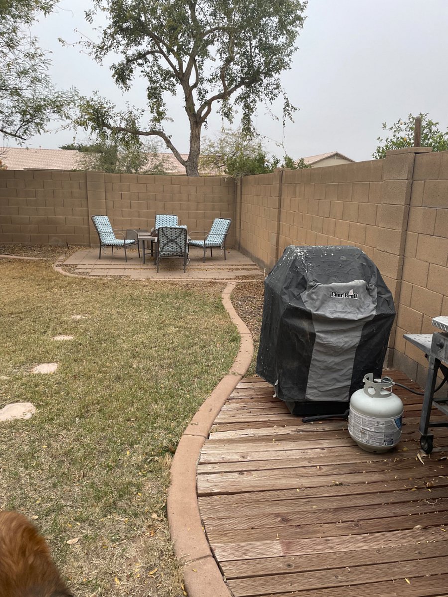Backyard w/ real grass