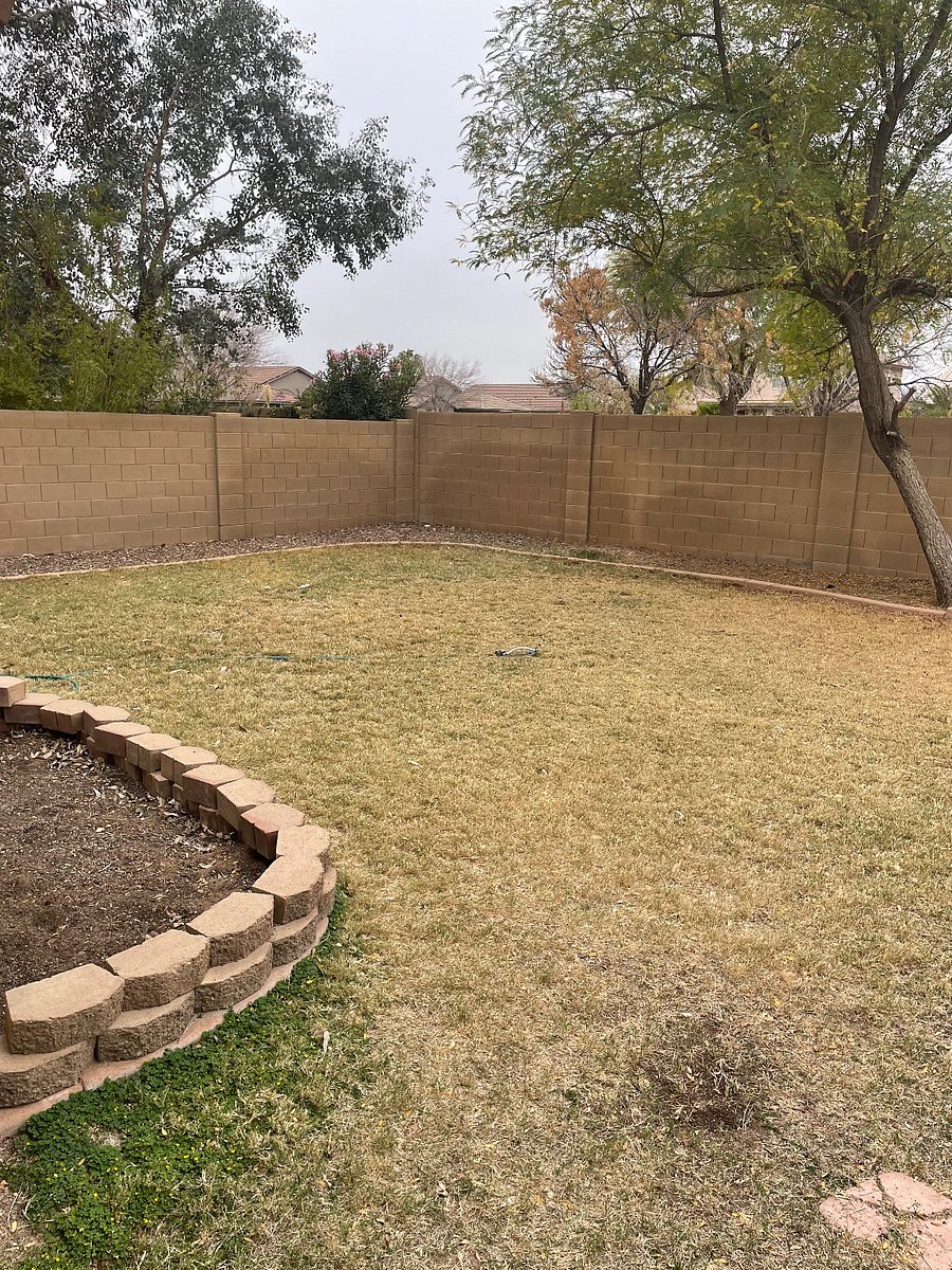 Furnished Finder property 818120_1 photo 16