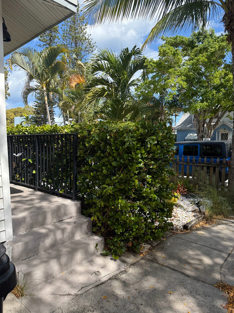 Furnished Finder property 818204_1 photo 8