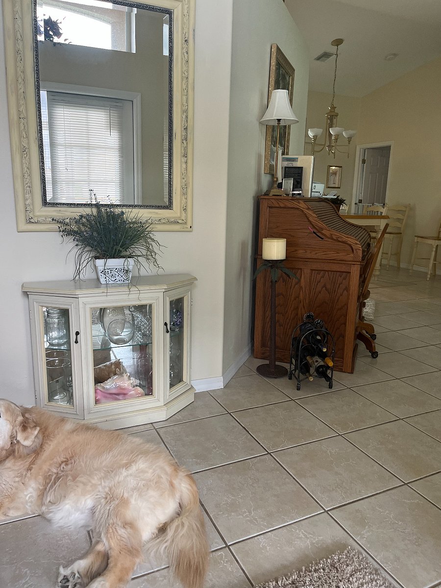 Furnished Finder property 818276_1 photo 5
