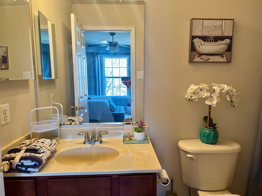 Furnished Finder property 818330_2 photo 13
