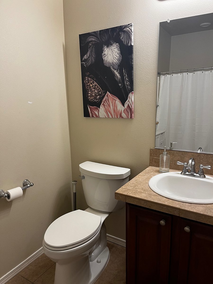 Furnished Finder property 818553_1 photo 5