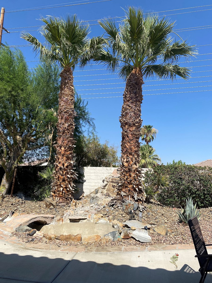 Furnished Finder property 818561_1 photo 4