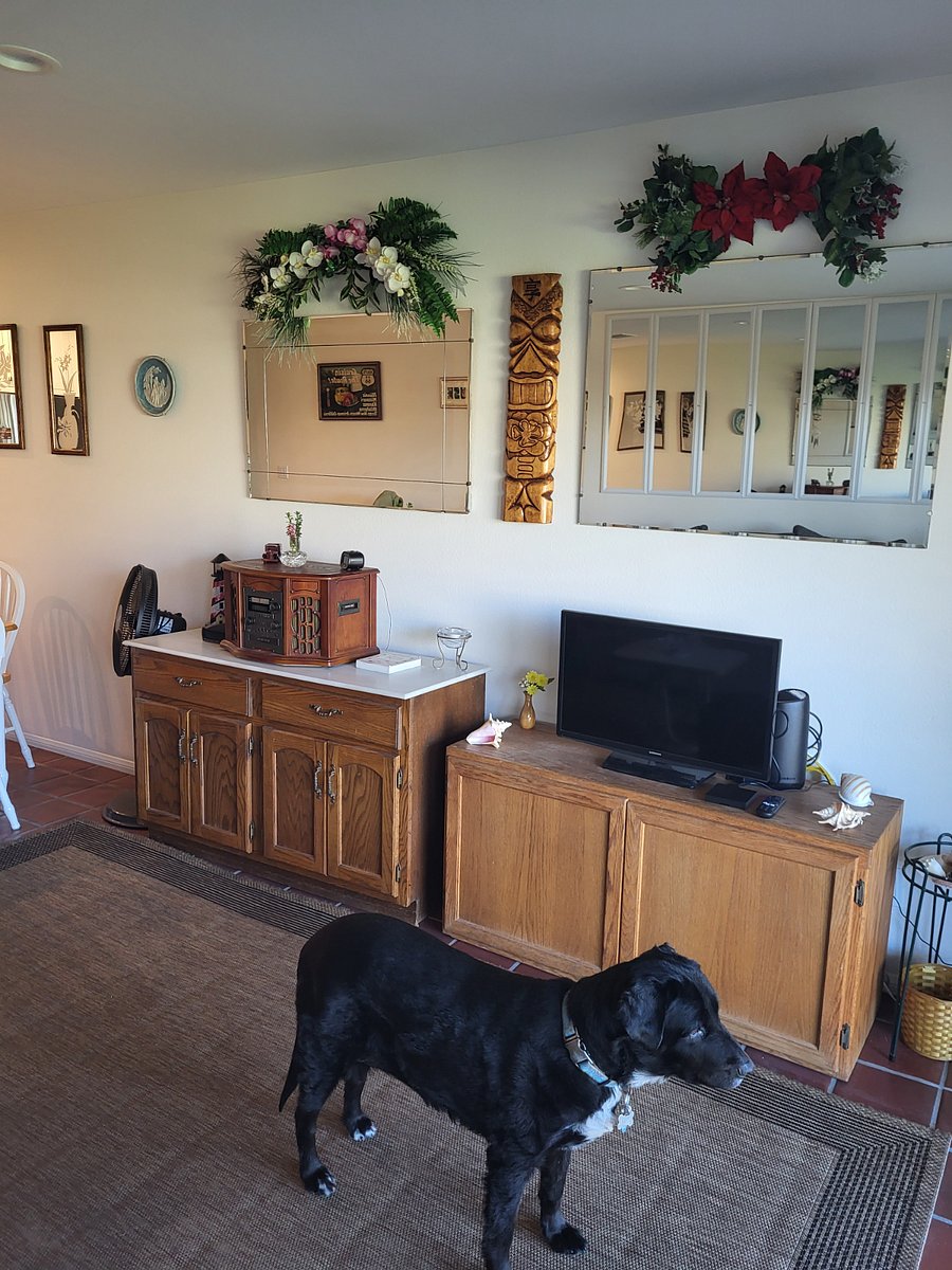 Furnished Finder property 818620_1 photo 12