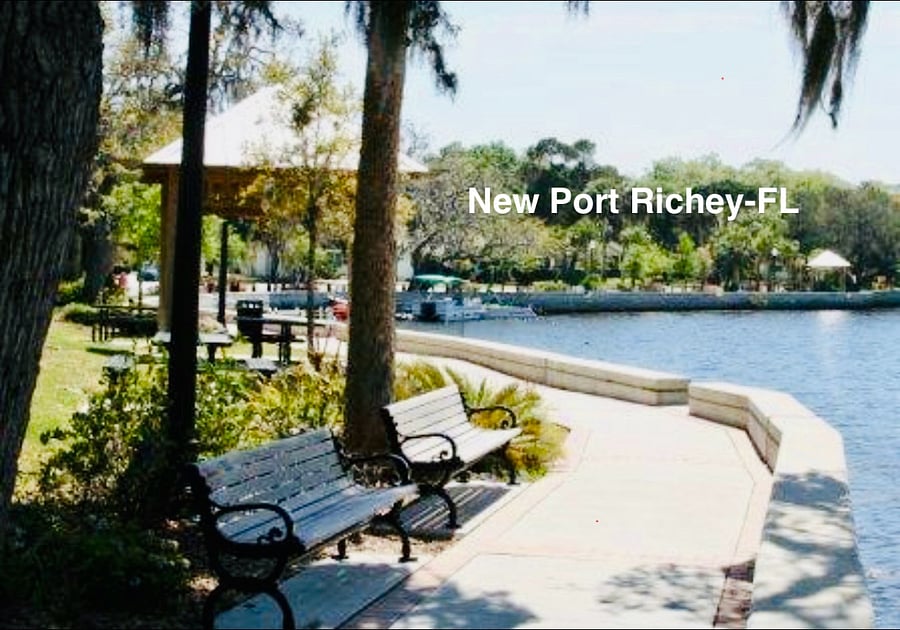 Downtown Port Richey. Family friendly Sims Park. The park sits along of the Cotee River and features a playground, splash pad, outdoor workout equipment, and an amphitheater. It serves as a  a hub for local events. 