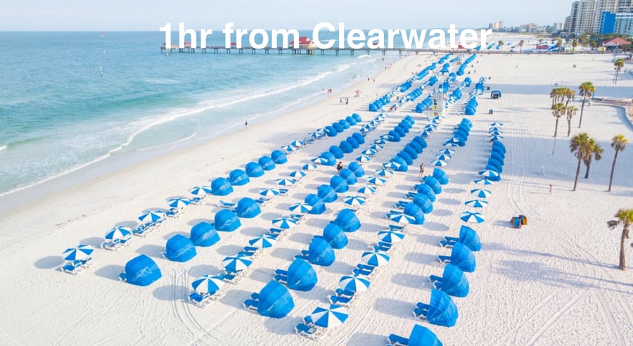 Clearwater Beach is just 40 to 60 minutes away.