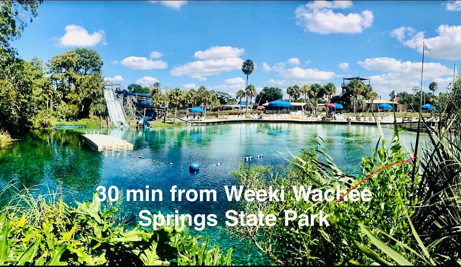 Week Wachee Spring with water slides, lazy river, boat ride, bars, restaurants, and mermaid shows. 