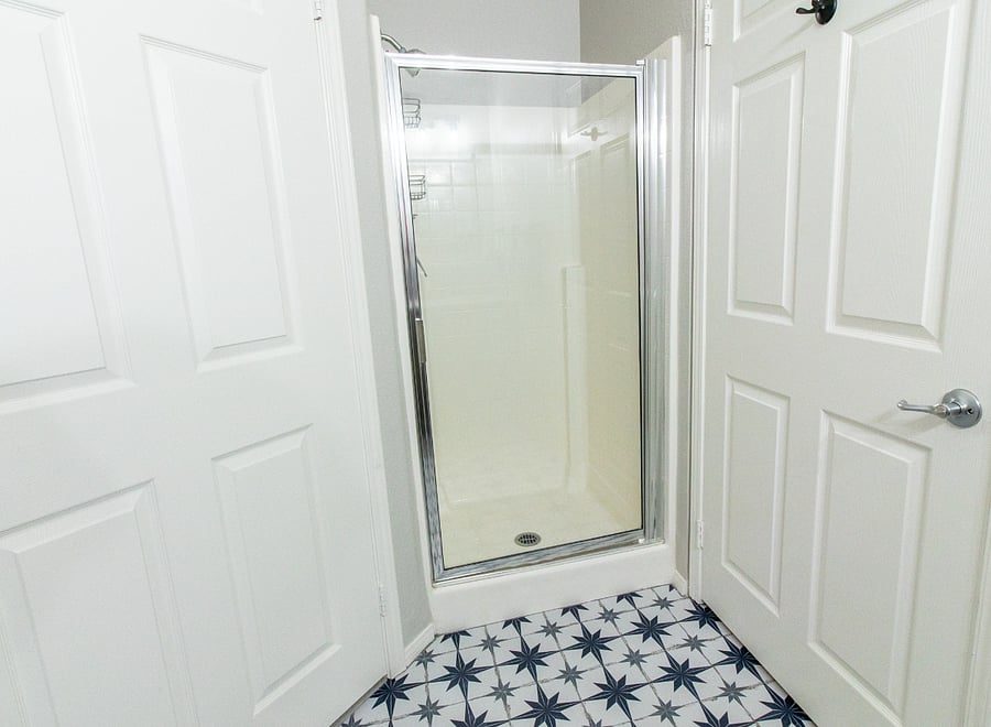 Master Bath Separate Shower