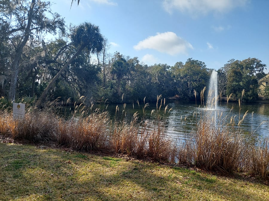 Furnished Finder property 819072_1 photo 8