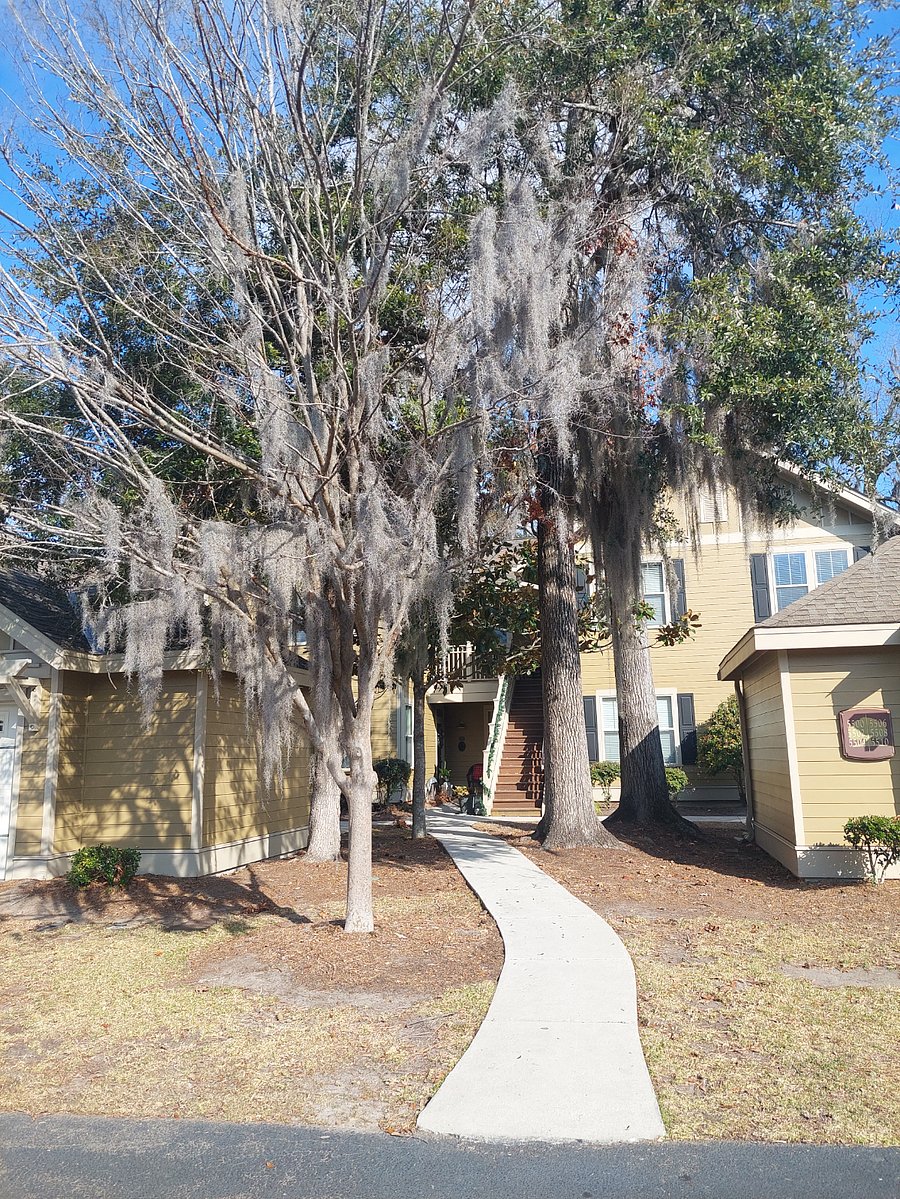 Furnished Finder property 819072_1 photo 7