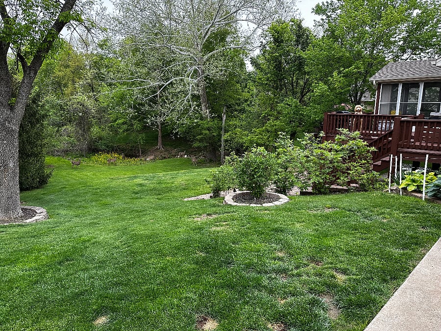 Furnished Finder property 819183_2 photo 10