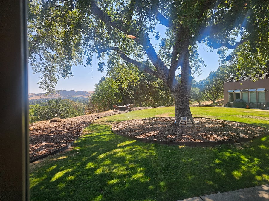 Furnished Finder property 819426_1 photo 15