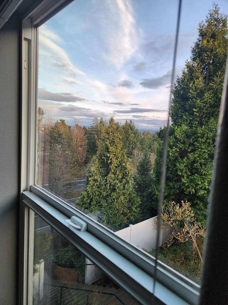 View from dining area