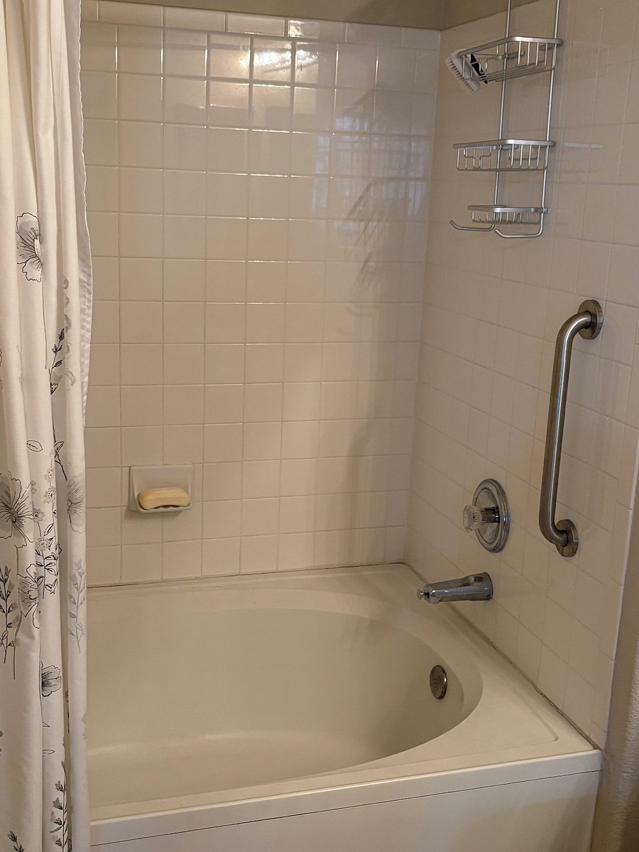 Master Bathtub/Shower