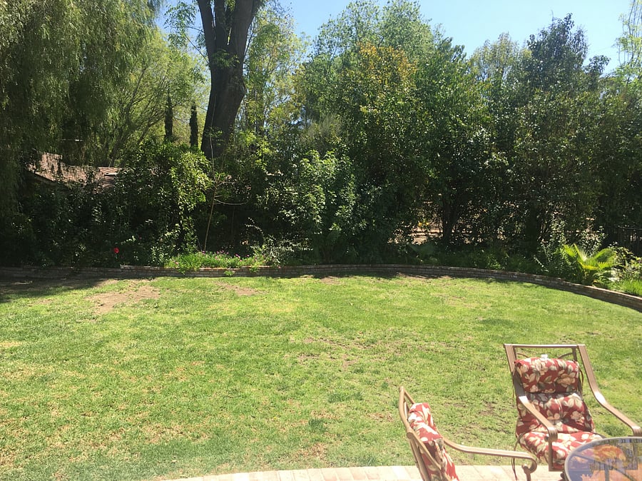 Furnished Finder property 819905_1 photo 15