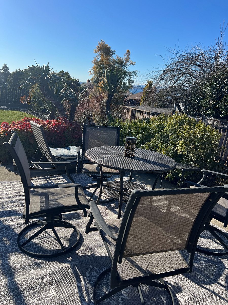 Personal Patio with peek-a-view