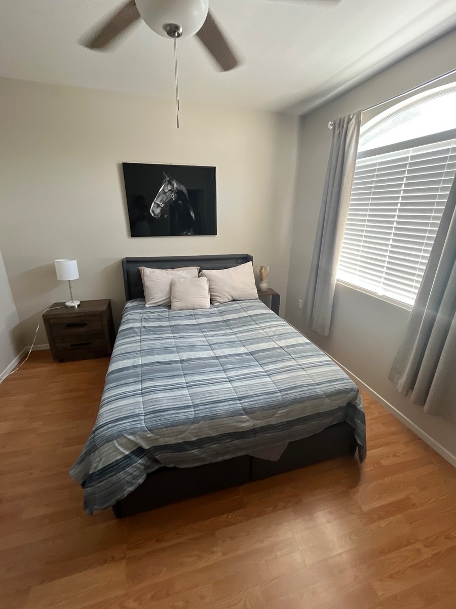 Furnished Finder property 820022_1 photo 9