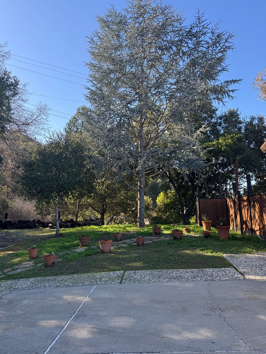 Oak trees and native habitat abound!! Enjoy the Fresh air!! :)
