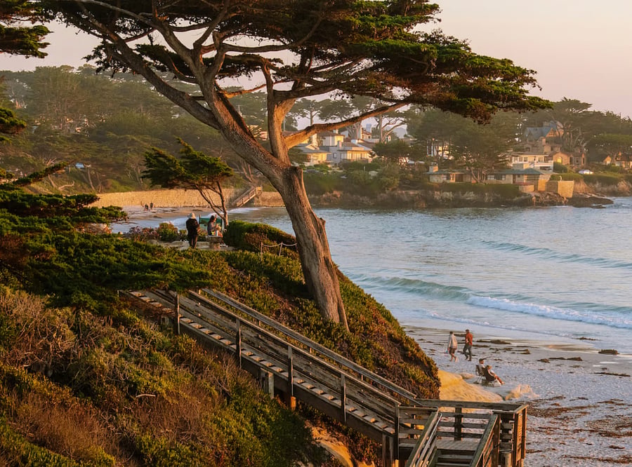 Monterey Peninsula
(45 min near!)

https://www.tripadvisor.com/Attractions-g32737-Activities-Monterey_Monterey_County_California.html