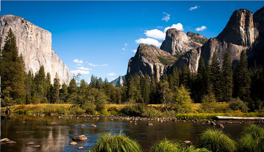 Yosemite National Park
(3 hrs near!)

https://www.nps.gov/yose/index.htm