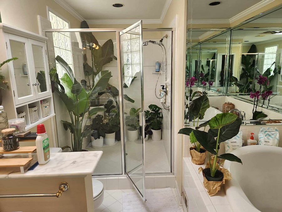 Furnished Finder property 820109_1 photo 26